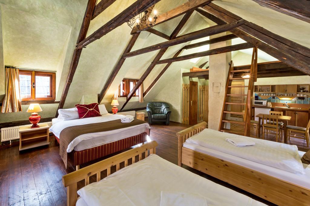 Pension U Hada Cesky Krumlov Luaran gambar